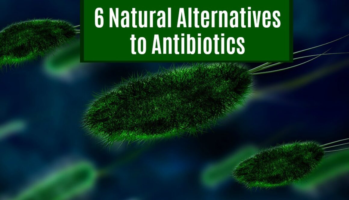 natural alternatives to antibiotics