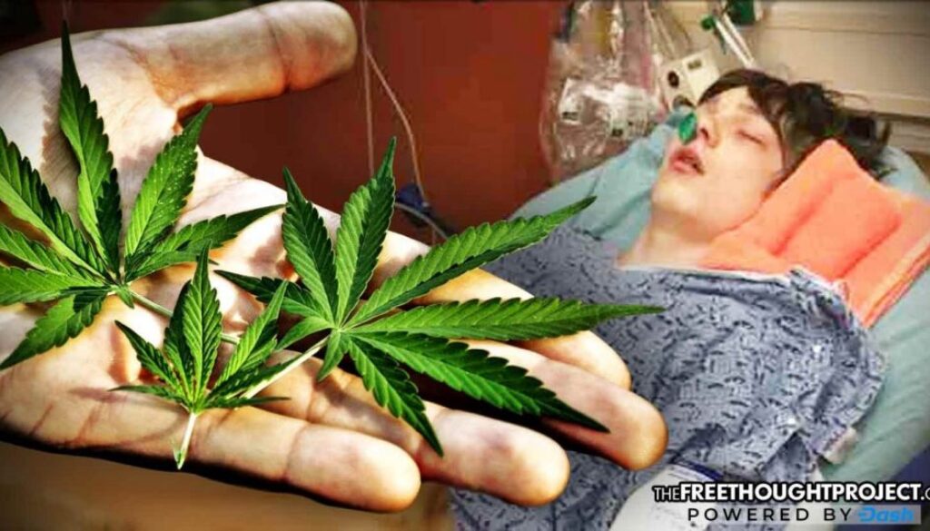 son-marijuana-1392x731