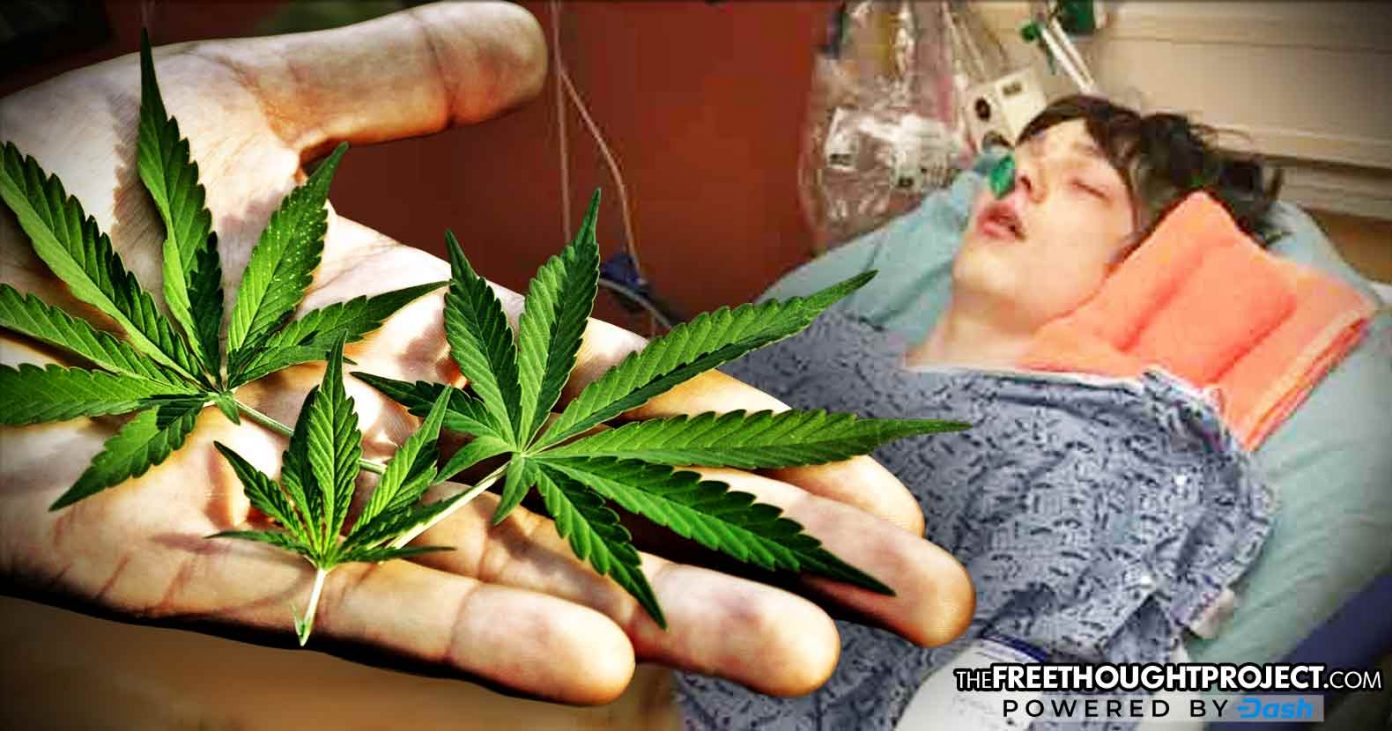 son-marijuana-1392x731 son-marijuana-1392x731