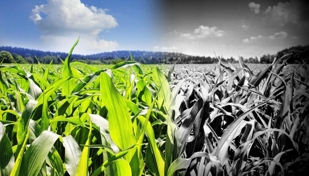 substantially similar