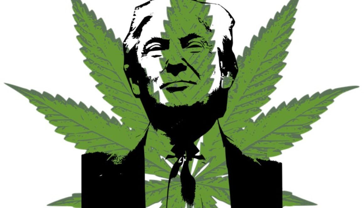 trump cannabis federal prohibition