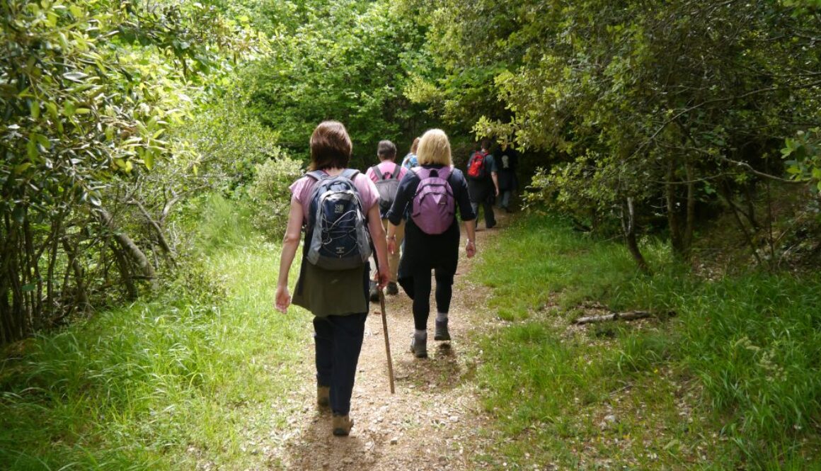 walking in nature