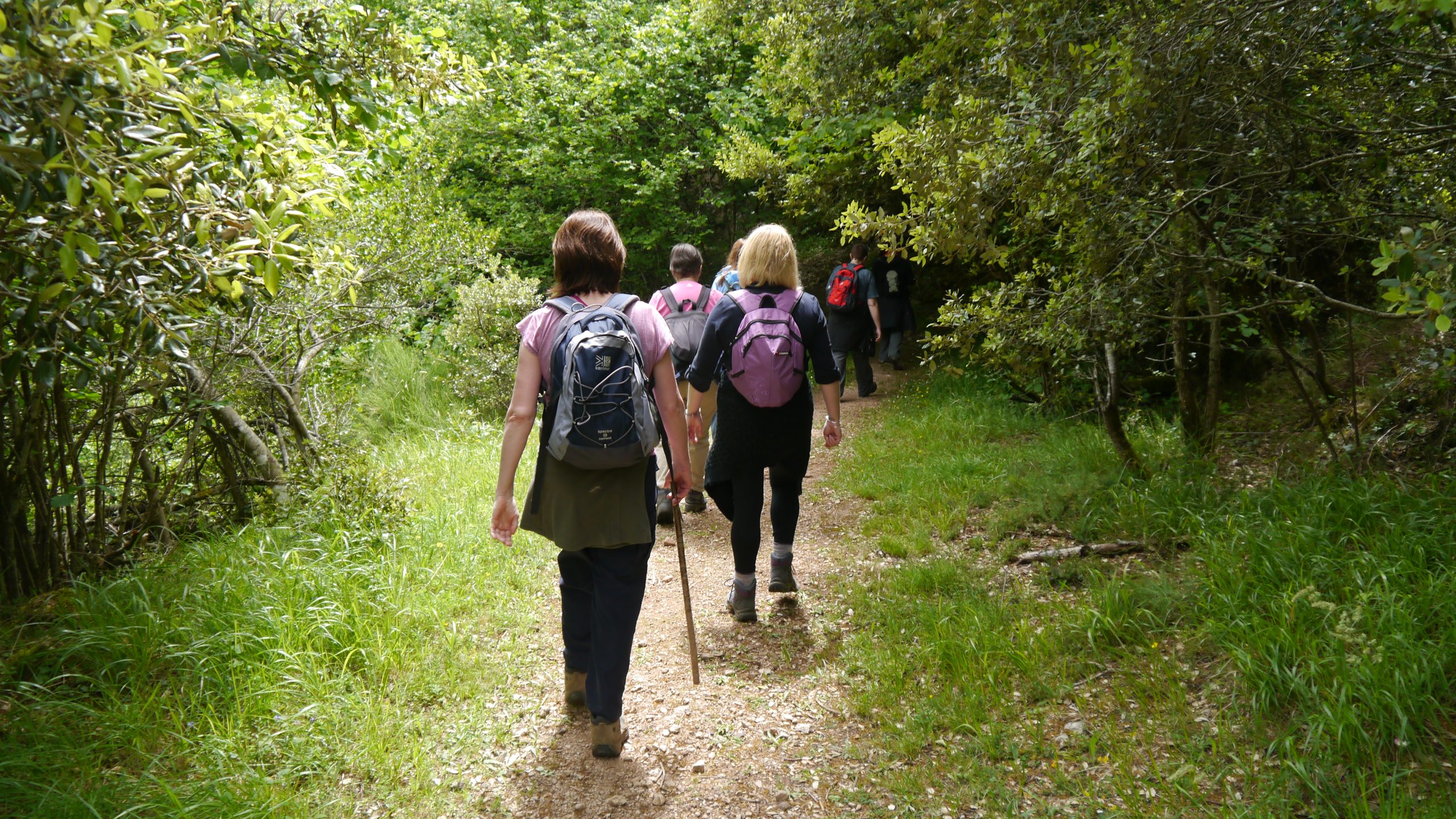 walking in nature walking in nature