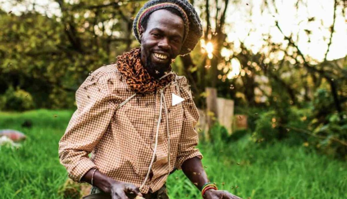 Farai-Chinomwe-Beautiful-News-Africa-Facebook-Screenshot
