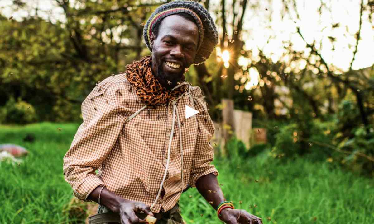 Farai-Chinomwe-Beautiful-News-Africa-Facebook-Screenshot Farai-Chinomwe-Beautiful-News-Africa-Facebook-Screenshot