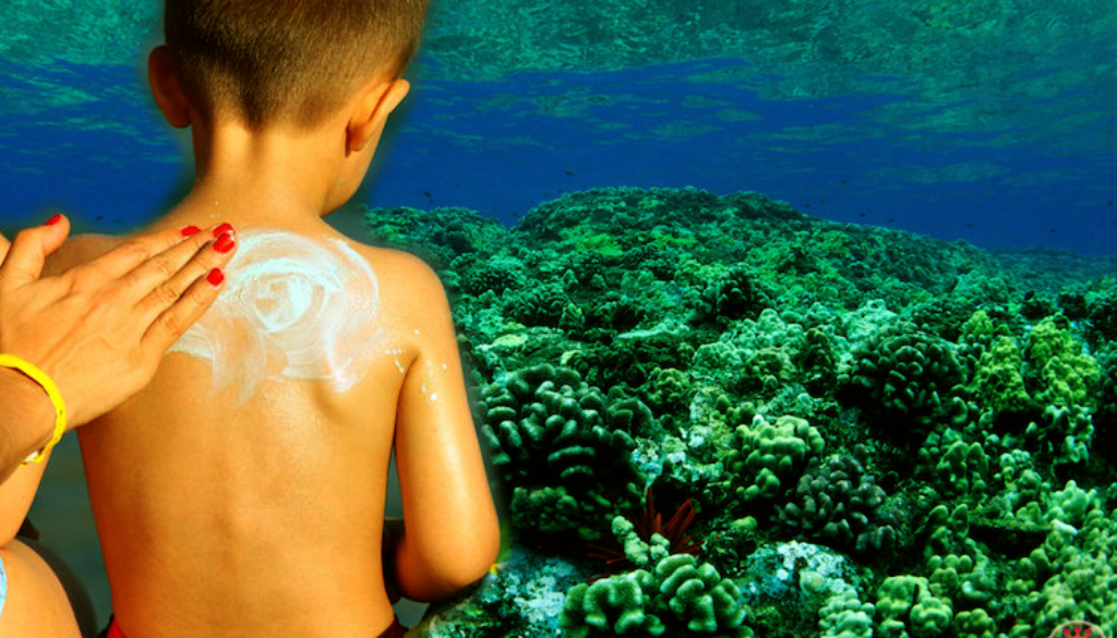 Hawaii-Sunscreen-Coral-Reefs