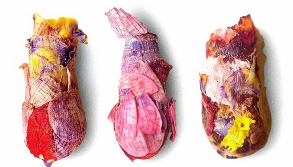beautiful flower nests