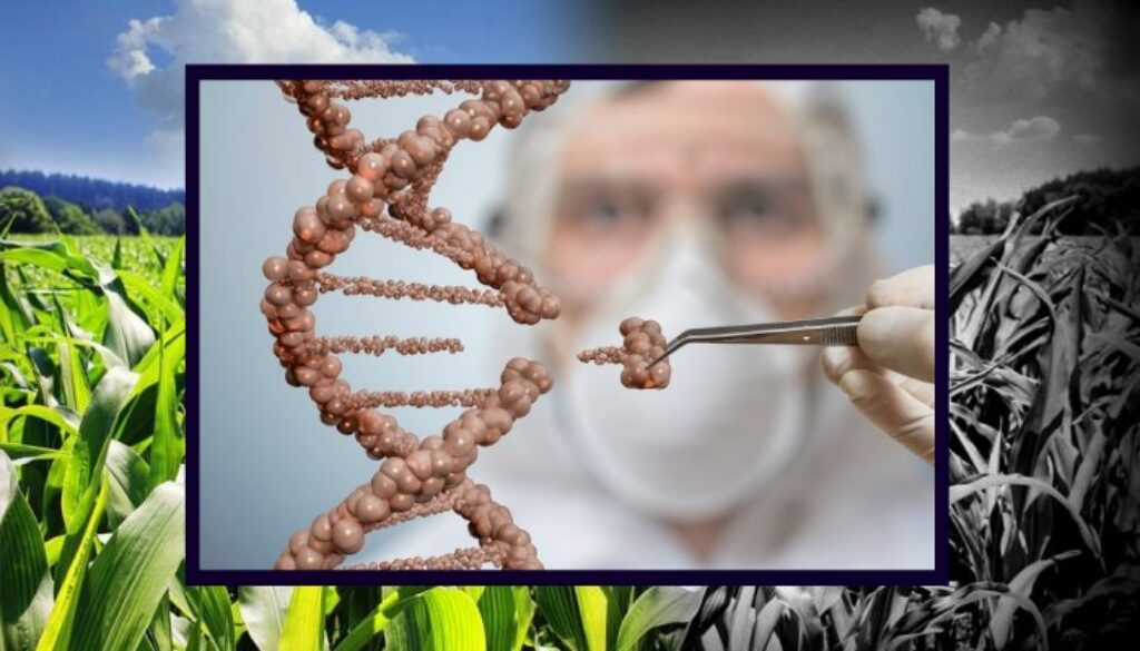 eu crispr gmos