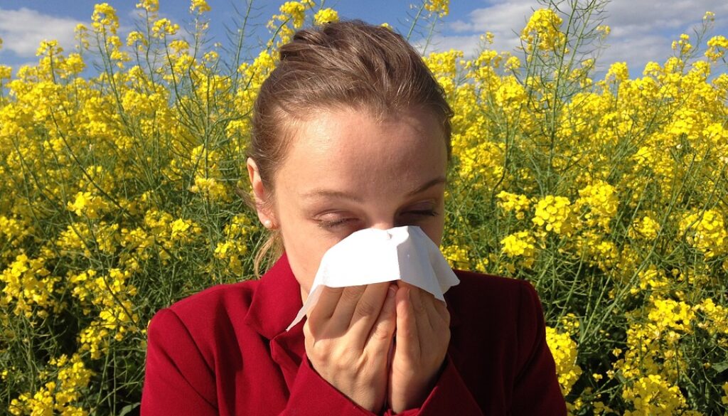 home remedies hay fever