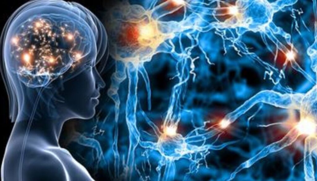 optogenetics main