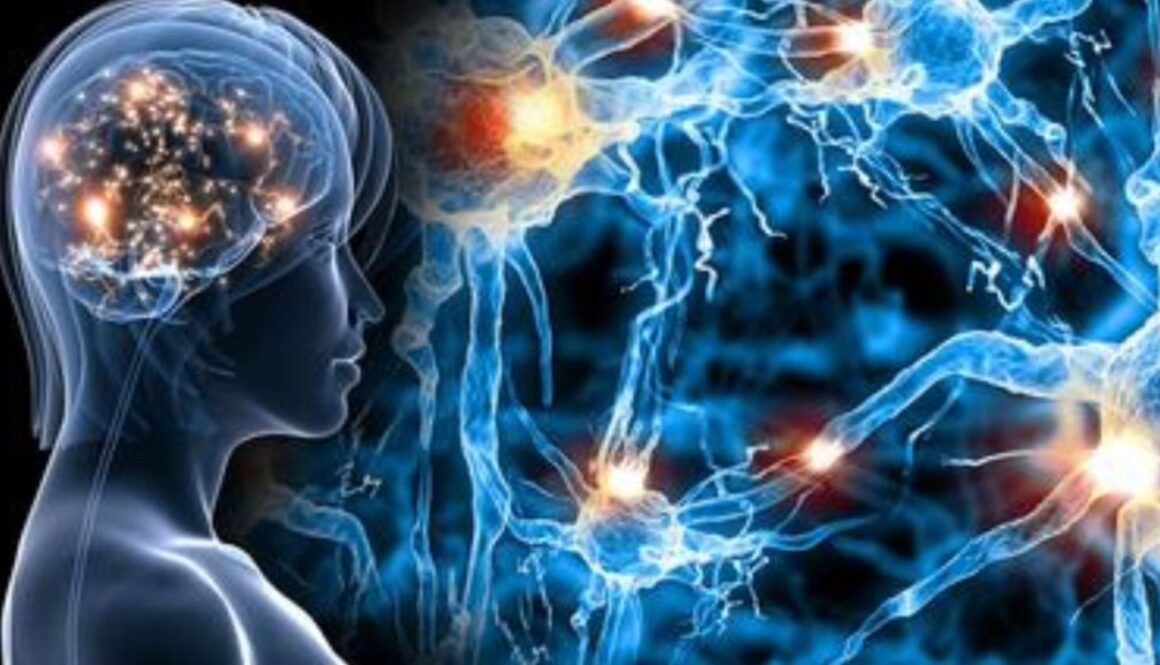 optogenetics main