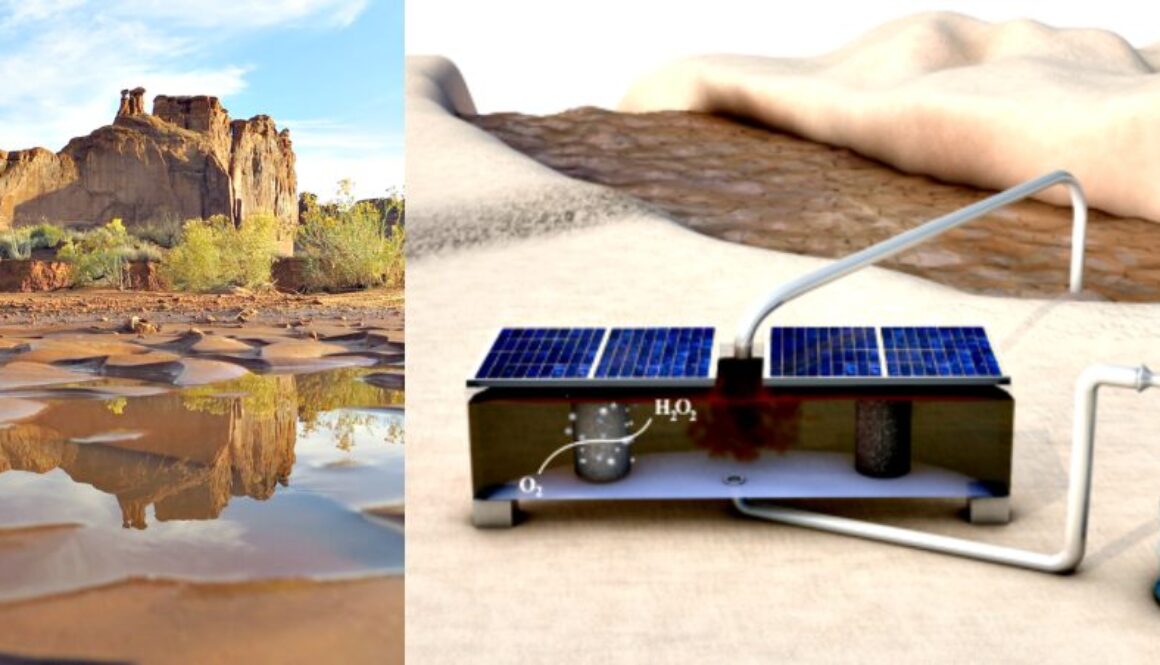 solar purifier
