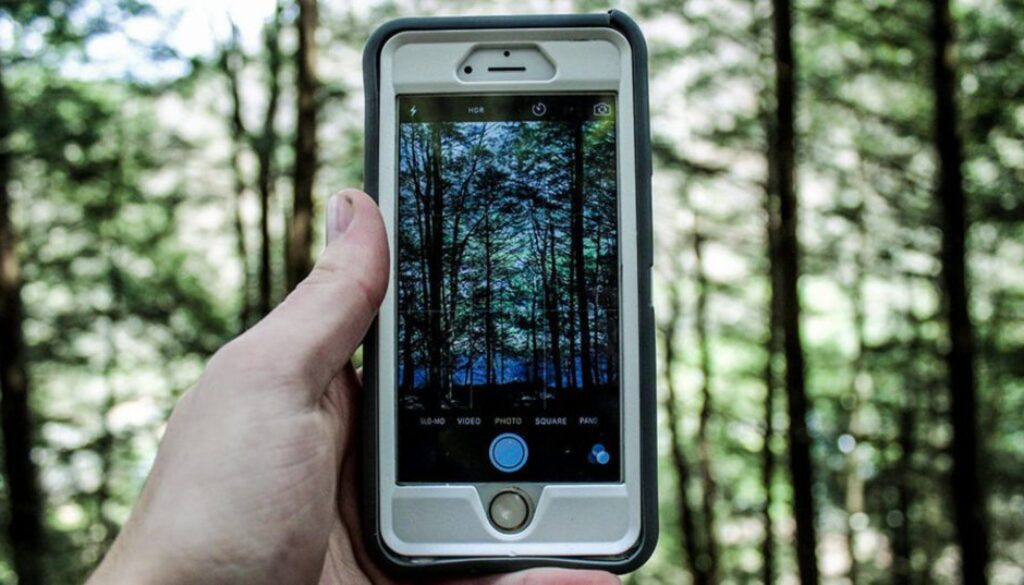 cellphones nature