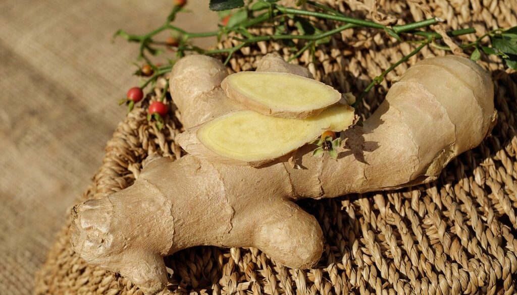 ginger-1738098_1280