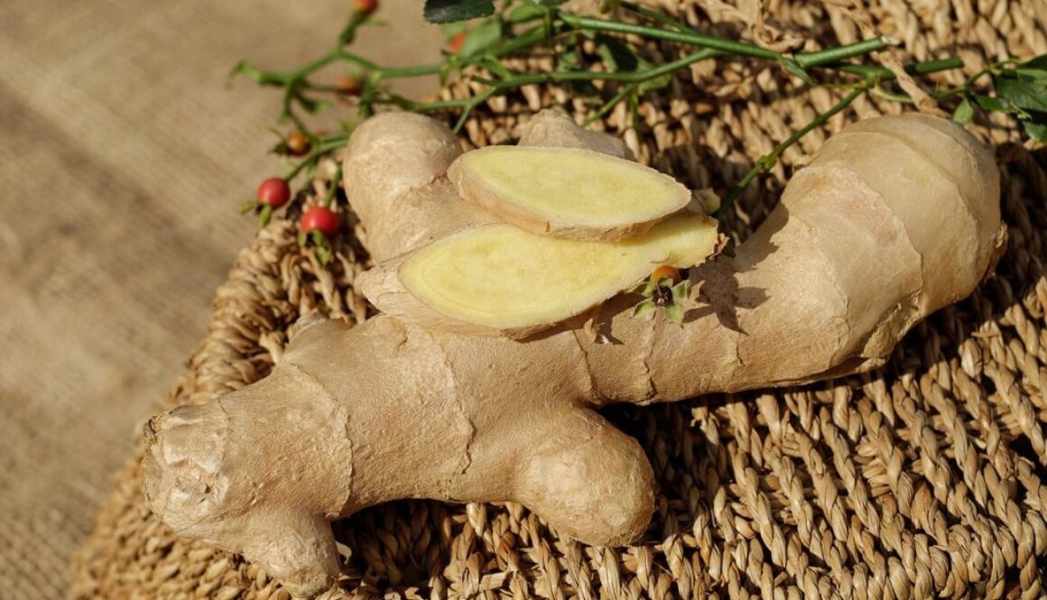 ginger-1738098_1280