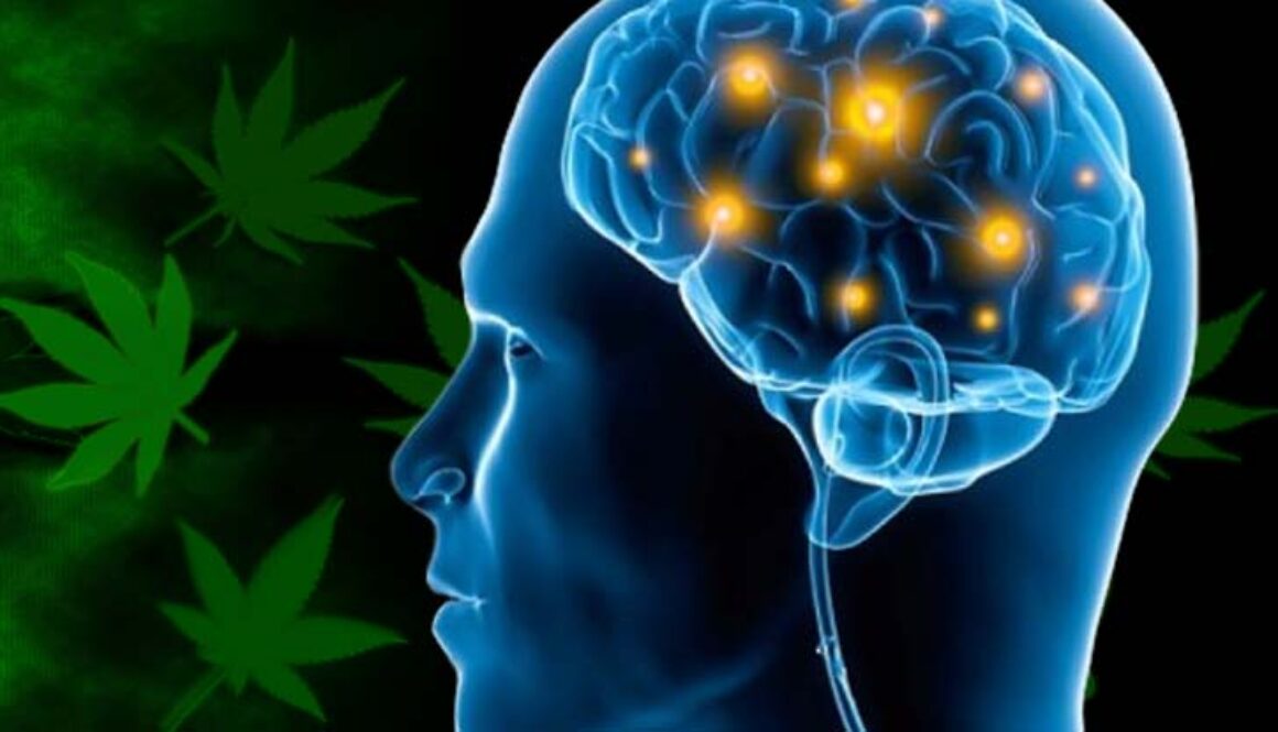 cannabis-alzheimers