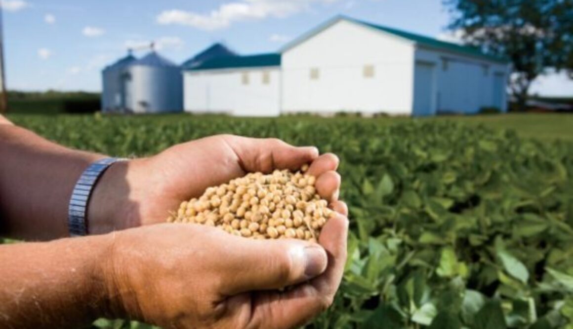 soybeanfarmer-e1541440625920