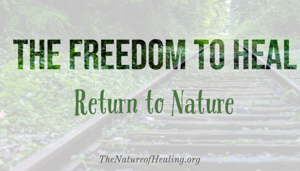 Freedom to Heal blog cover