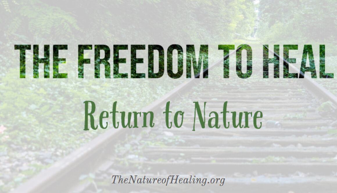 Freedom to Heal blog cover