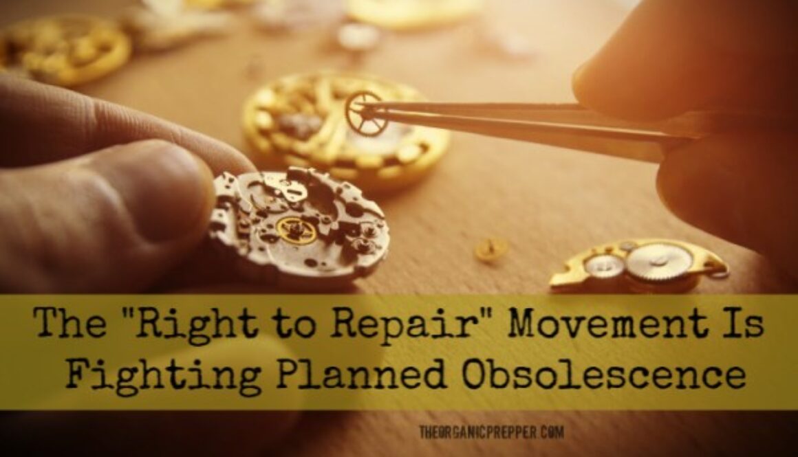 The process of repair of mechanical watches