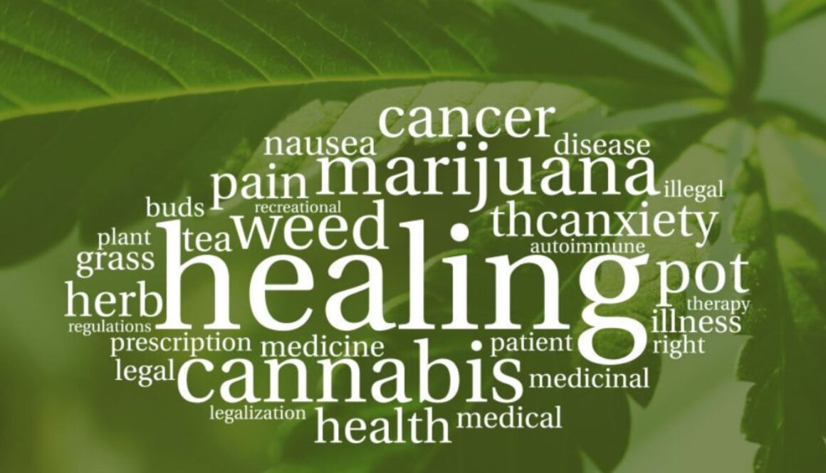 cannabis medicine