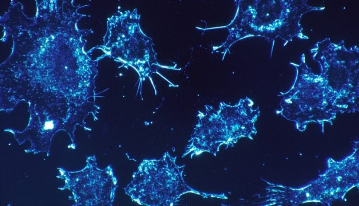 israeli-scientists-complete-cure-for-cancer