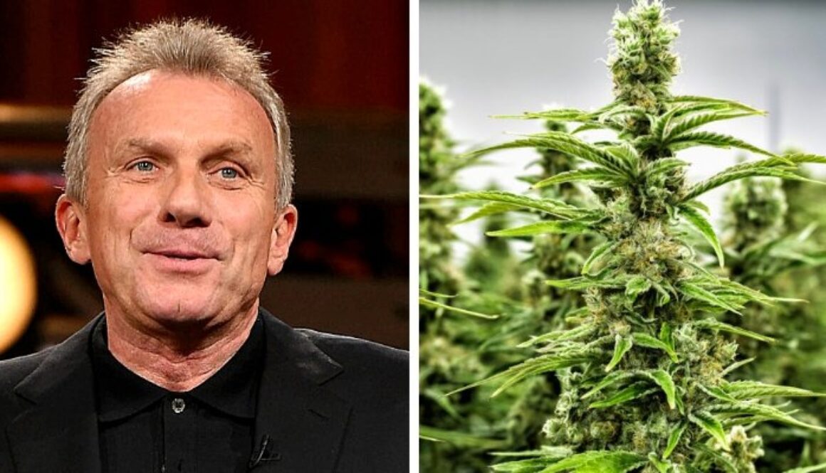 joe-montana-cannabis-marijuana