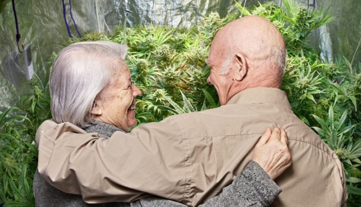 seniors cannabis