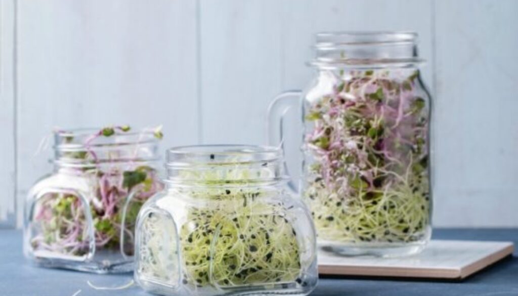 sprouts-e1548698983743