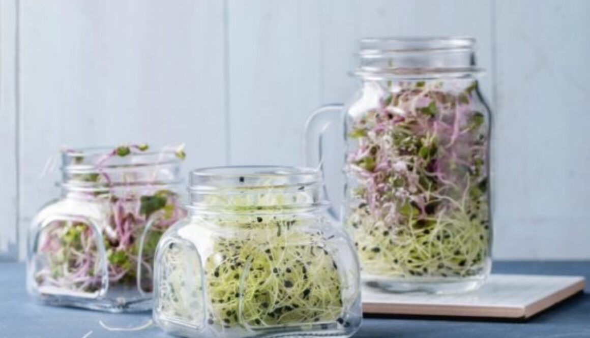 sprouts-e1548698983743