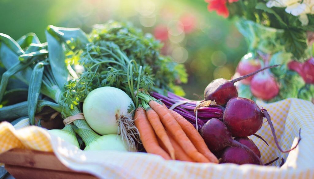 Embracing a Holistic Approach to Cancer Treatment