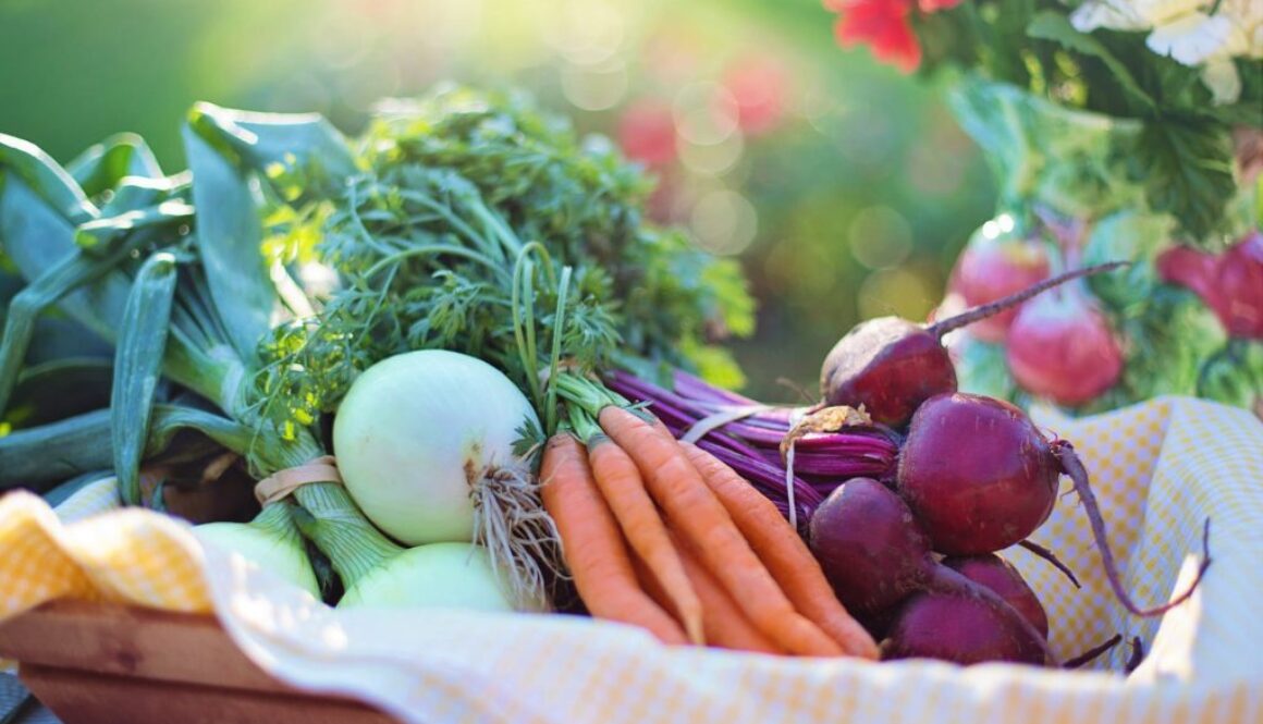 Embracing a Holistic Approach to Cancer Treatment
