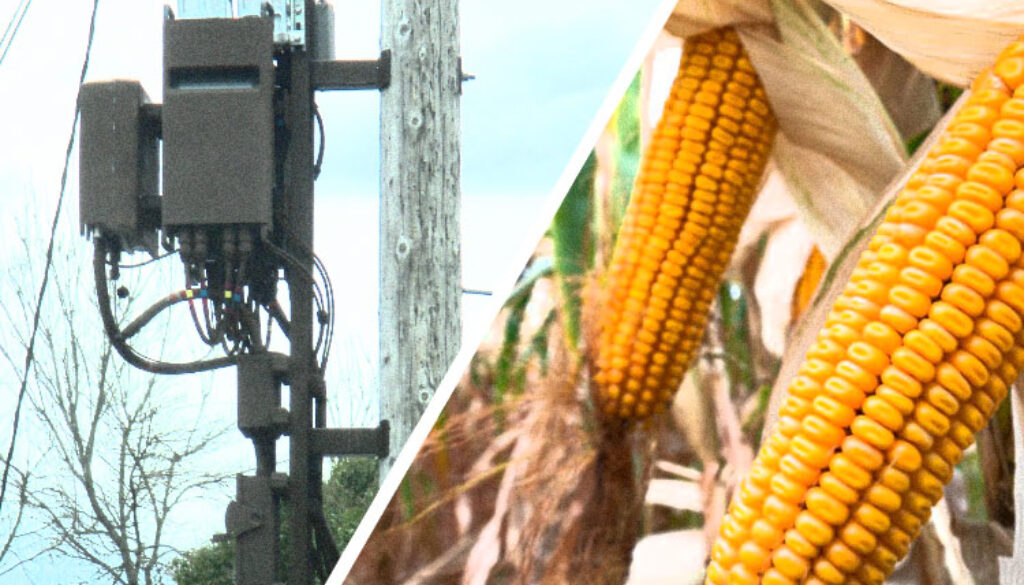5G-GM-Corn