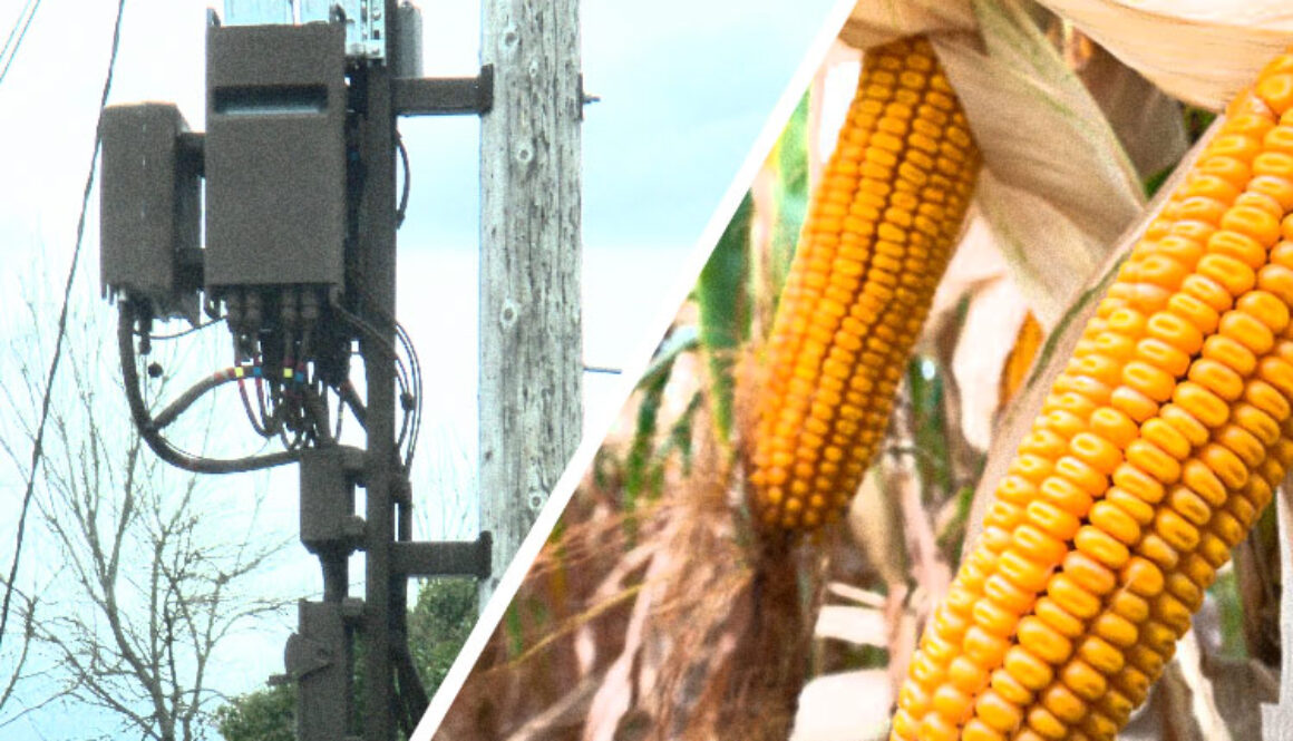 5G-GM-Corn