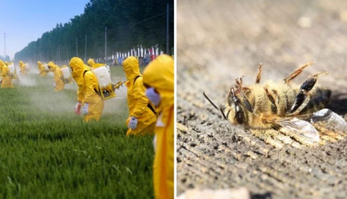 EPA emergency