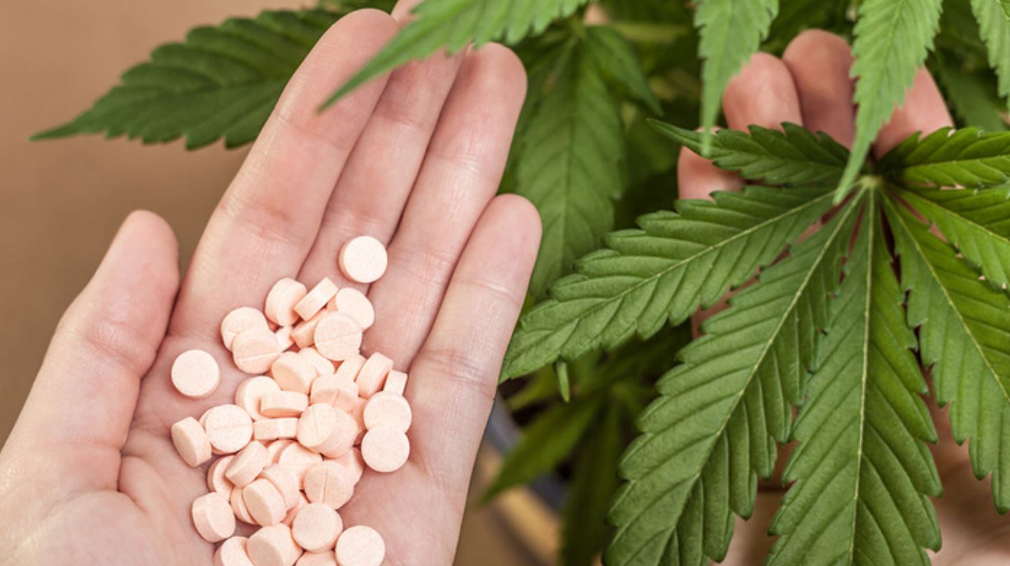 cannabis big pharma