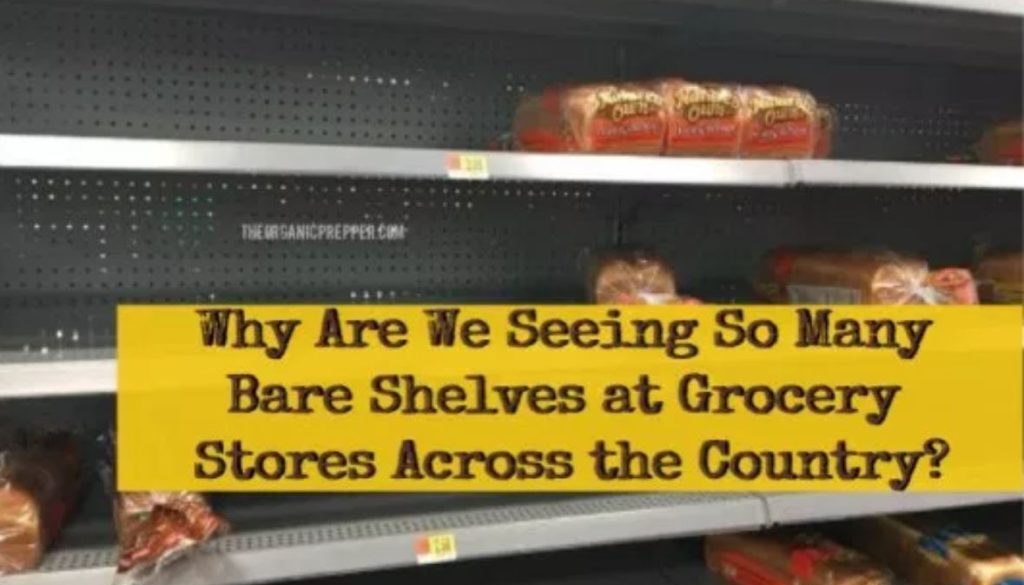 empty shelves
