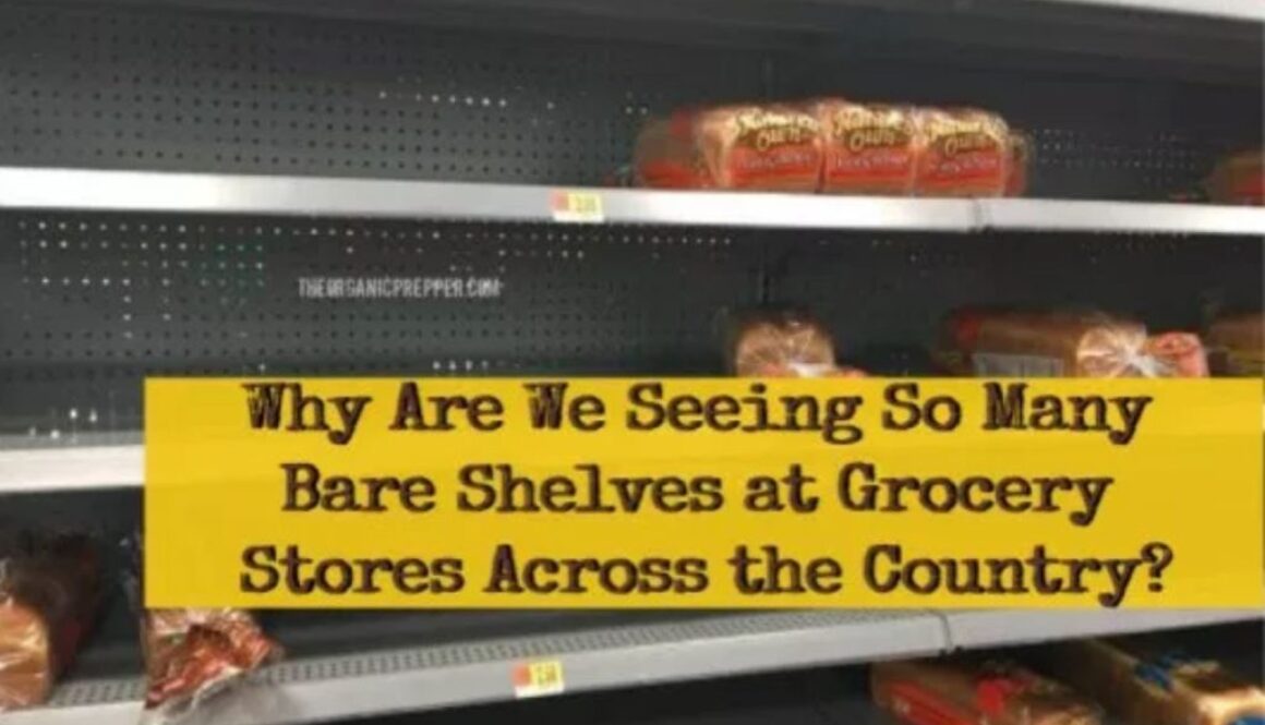 empty shelves