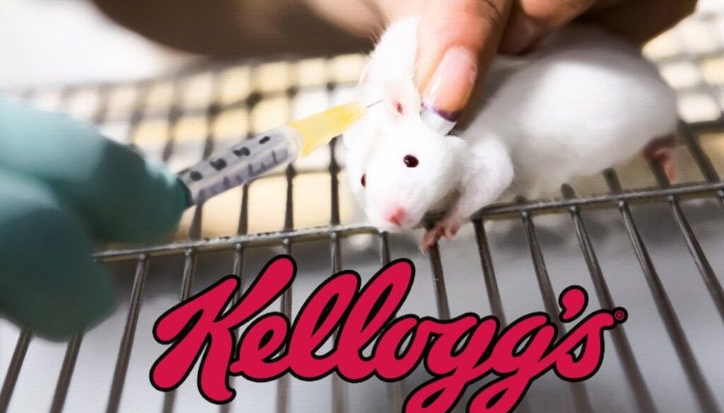 kellogs