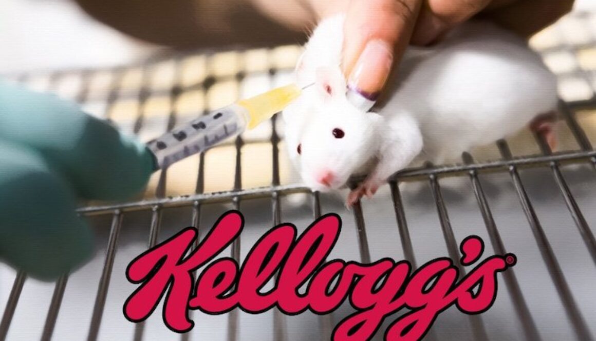 kellogs
