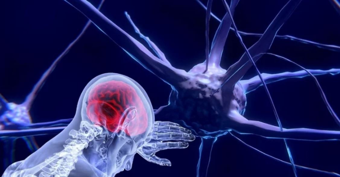 neuroscience wireless neuroscience wireless