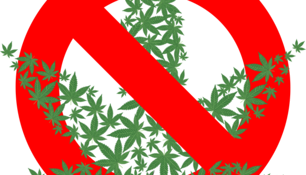 no cannabis