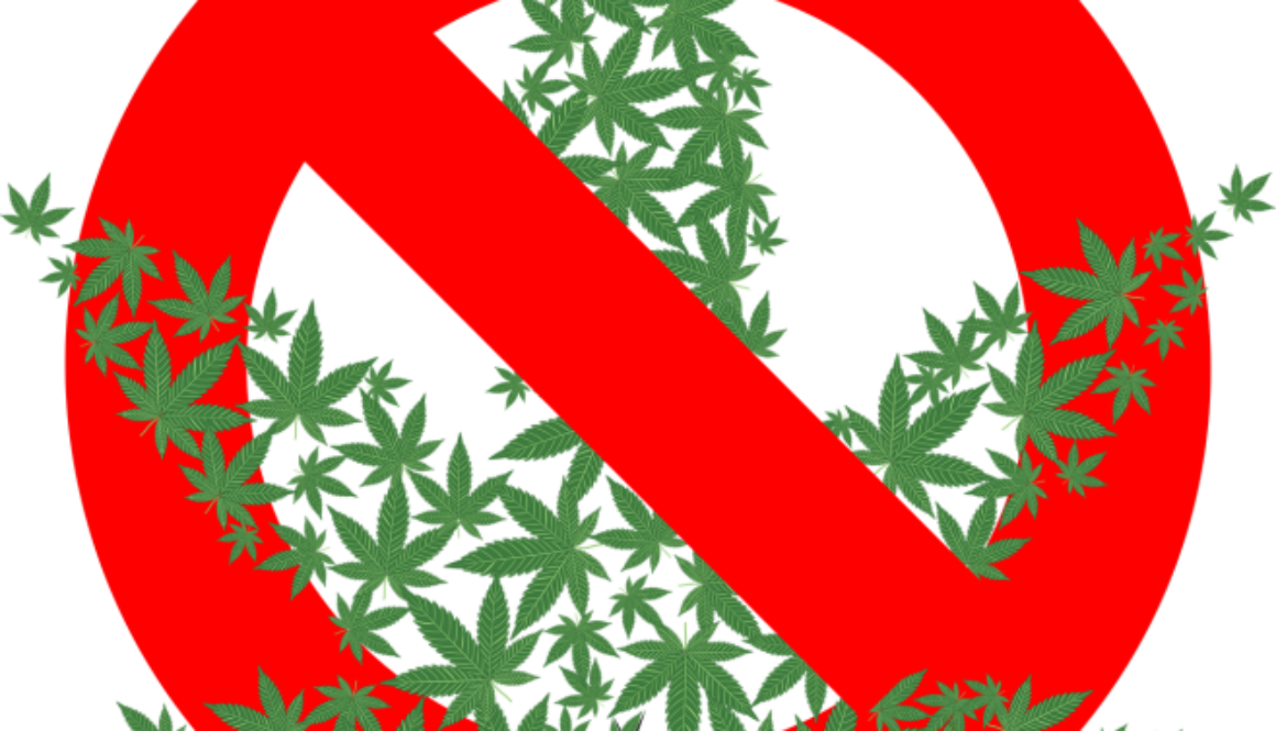 no cannabis