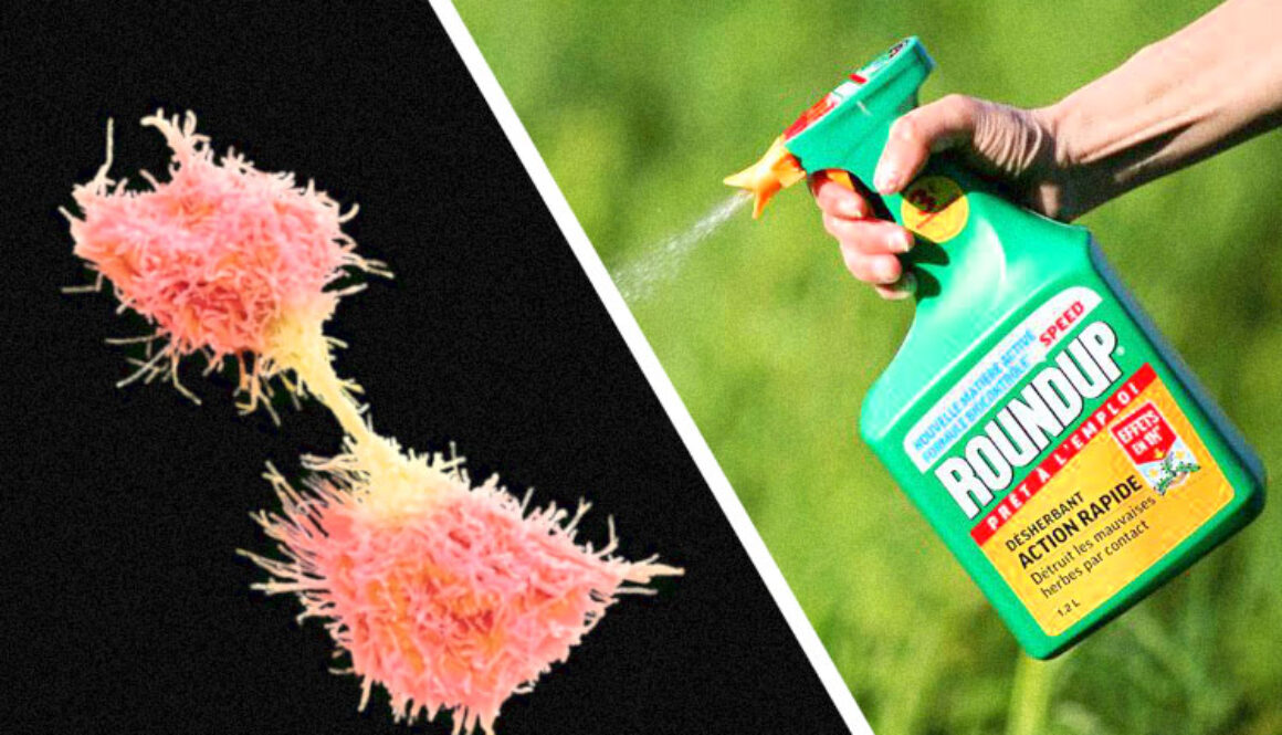 Roundup-Cancer-Cell
