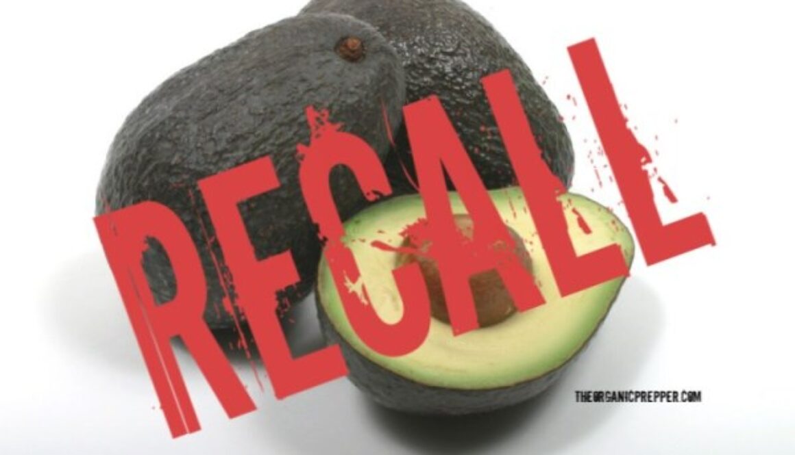 avocado-recall