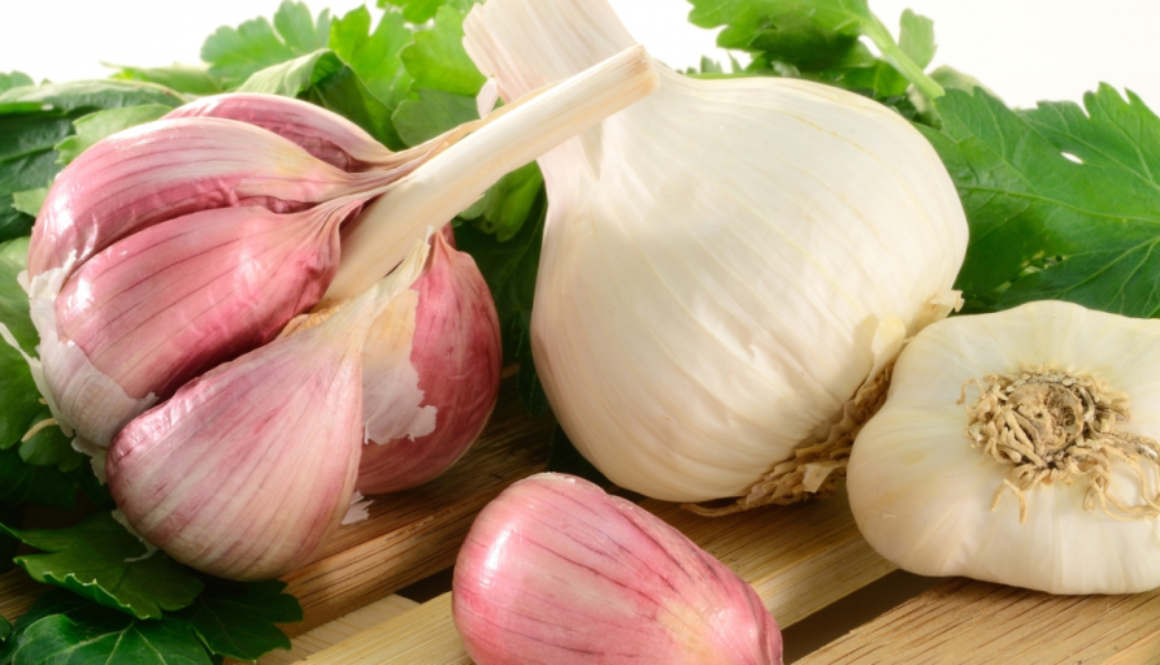 garlic