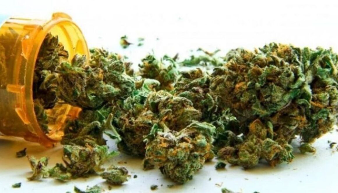 marijuna legal