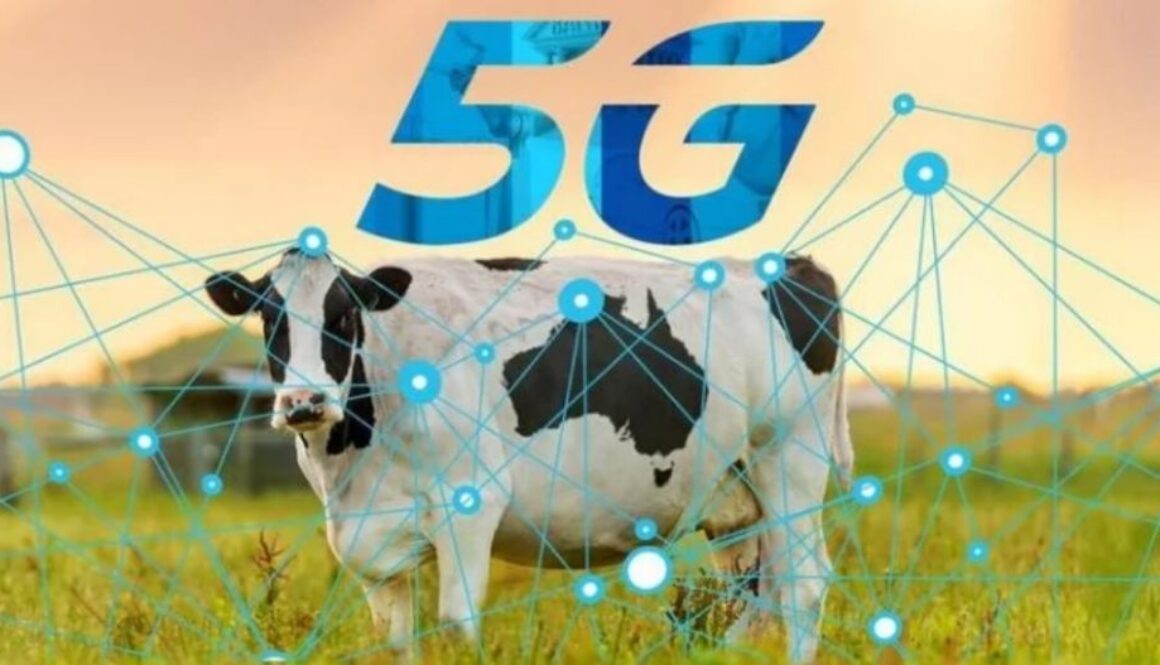 5G smart cow
