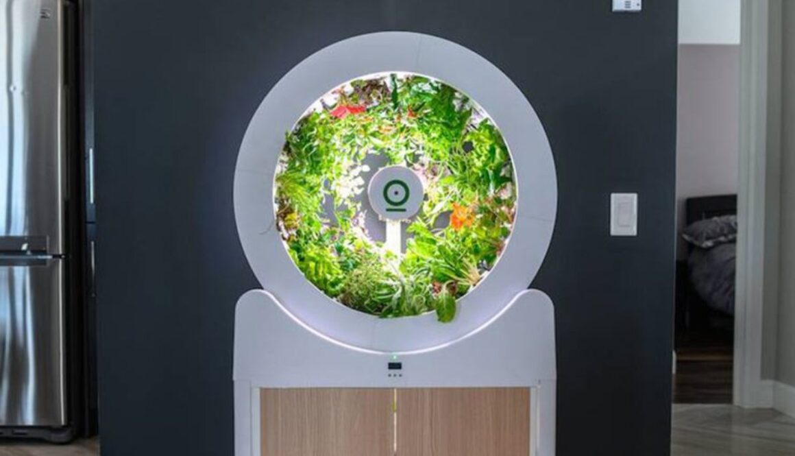 OGarden.jpg.860x0_q70_crop-scale
