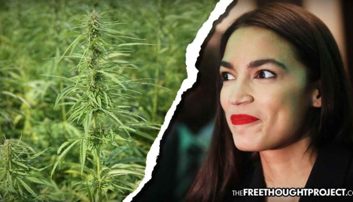 aoc-hemp-1392x731